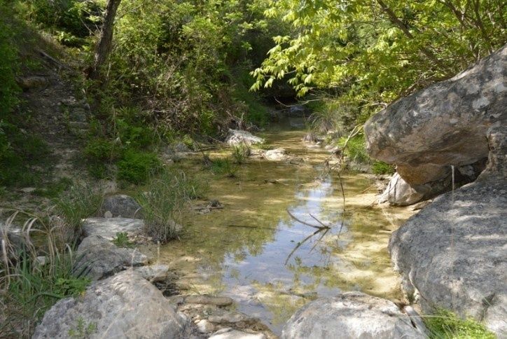 Petit ruisseau clair serpentant entre les rochers sous les arbres